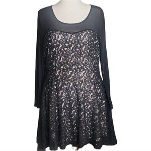 Zenobia Elegant Feminine Black and Cream Lace Skater Goth Plus Dress XXXL